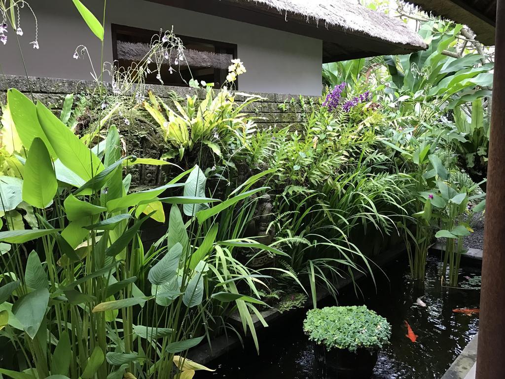 Bali Villa Aja Семіньяк Екстер'єр фото